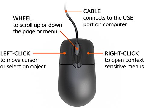 Mouse studmentor.in