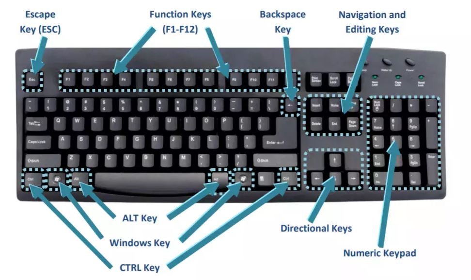 keyboard stud mentor.in